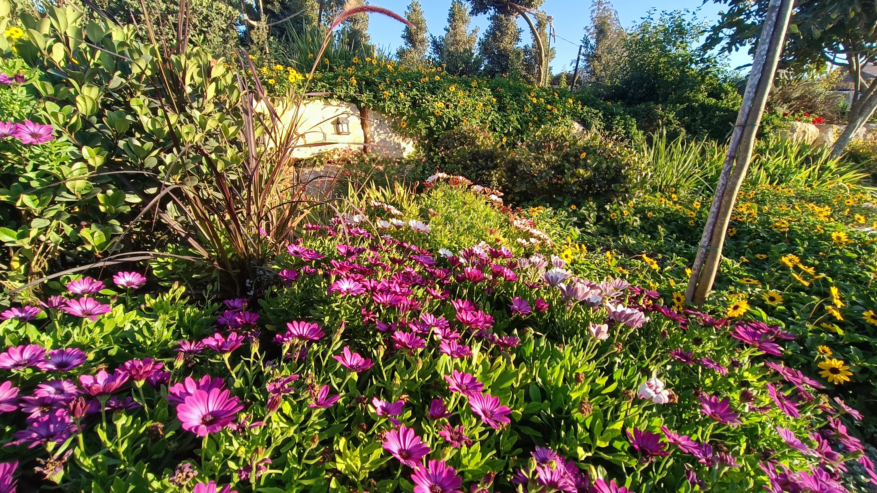 תמונה מהיישוב