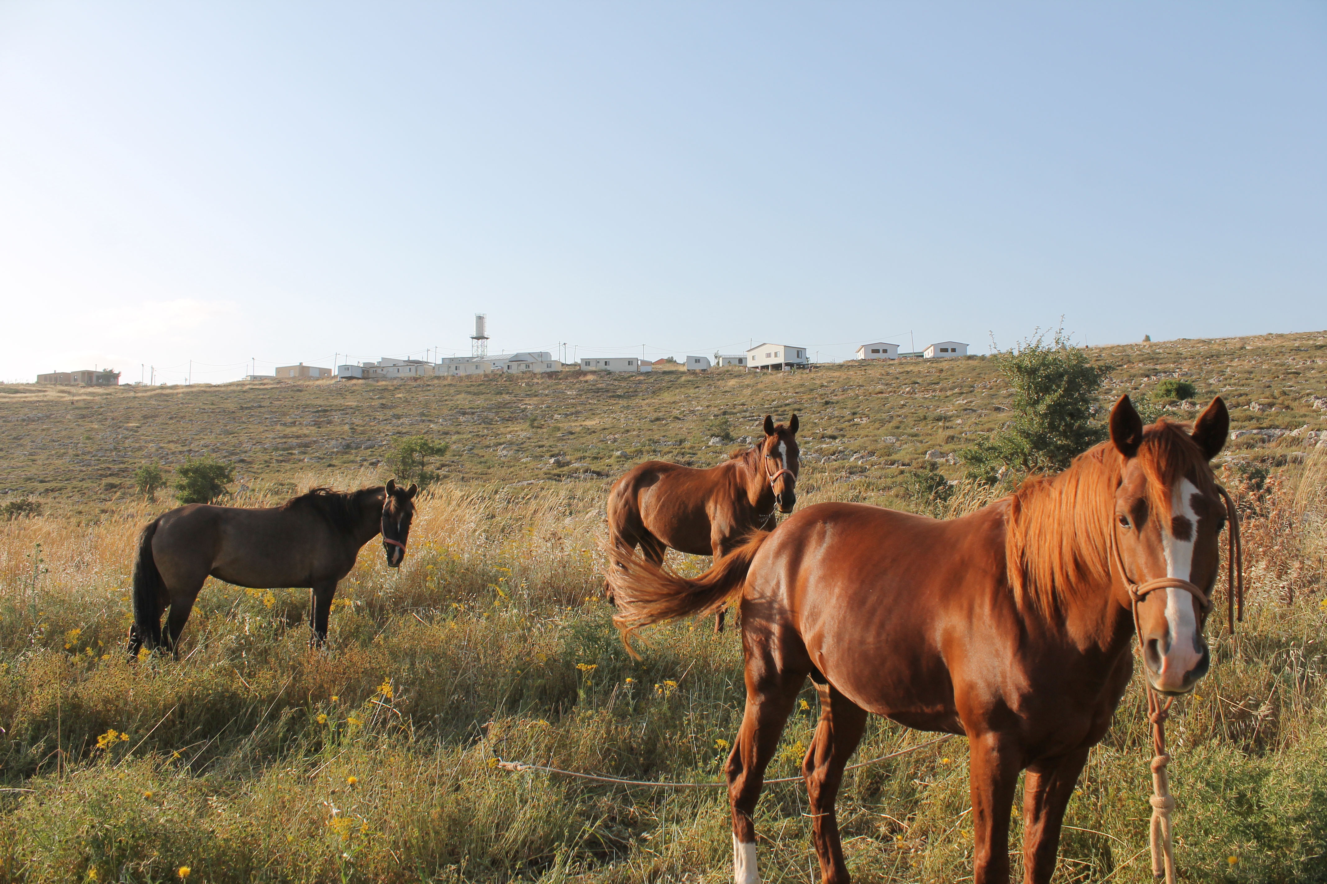 תמונה מהיישוב אש קודש