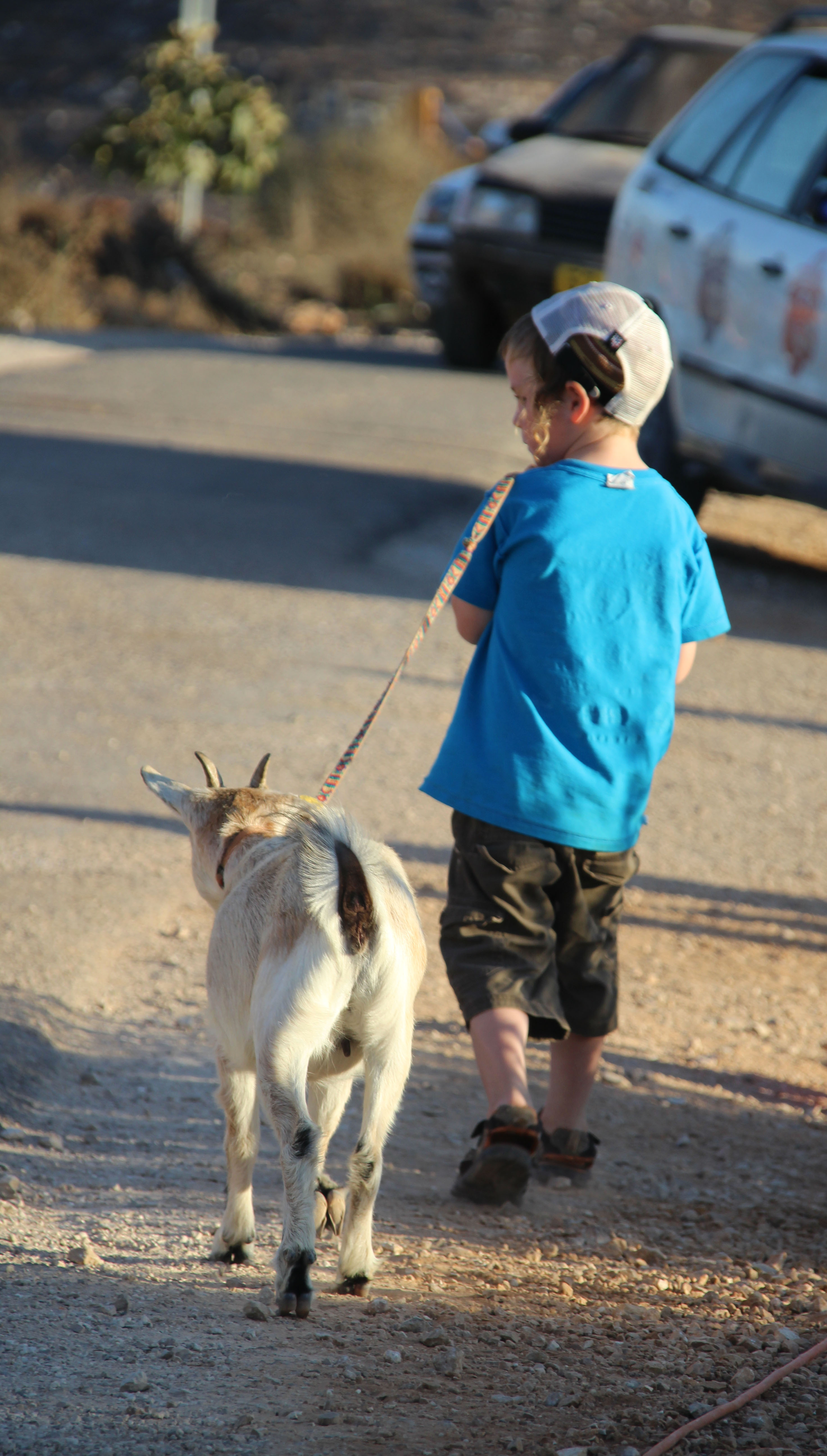 תמונה מהיישוב אש קודש